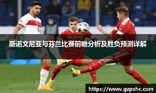斯诺文尼亚与芬兰比赛前瞻分析及胜负预测详解